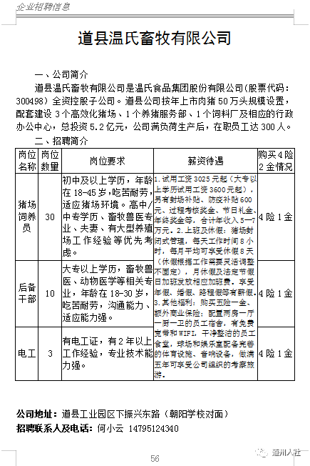 道县人力资源和社会保障局最新招聘信息详解，道县人力资源和社会保障局最新招聘信息全面解析