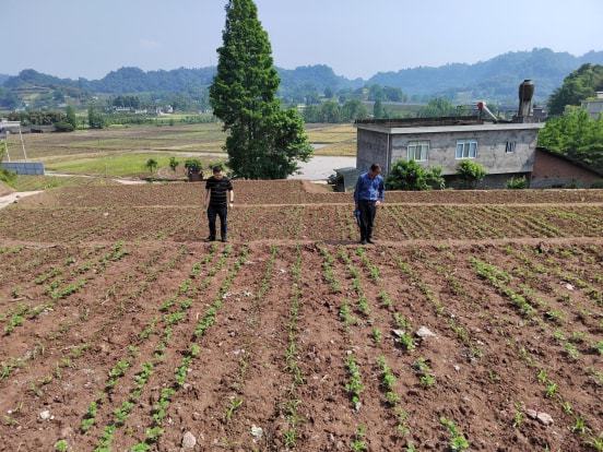 唐海县农业农村局最新项目揭秘，乡村振兴的新动力，唐海县农业农村局最新项目揭秘，乡村振兴新动力源泉