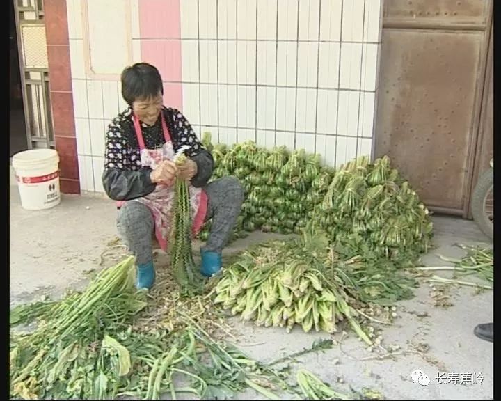 三圳镇最新领导团队，引领未来，共筑美好家园，三圳镇领导团队引领未来，共筑美好家园新篇章